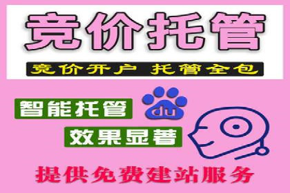 案例分析：百度推广费用如何精准投放